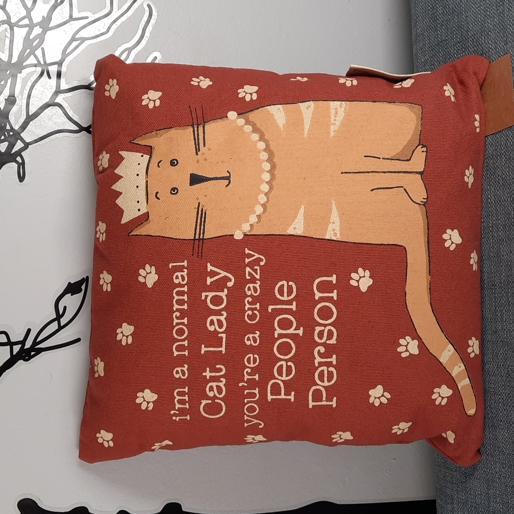 Funny Accent Pillow Cat Lady Crazy People Gift Present Bedroom Livingroom
